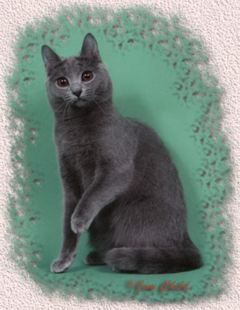 GC Charleval's Unsinkable Molly Blue