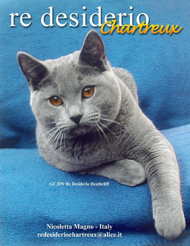 GC DW Re Desiderio Heathcliff