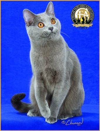 GP Foxykats Great Gatsby