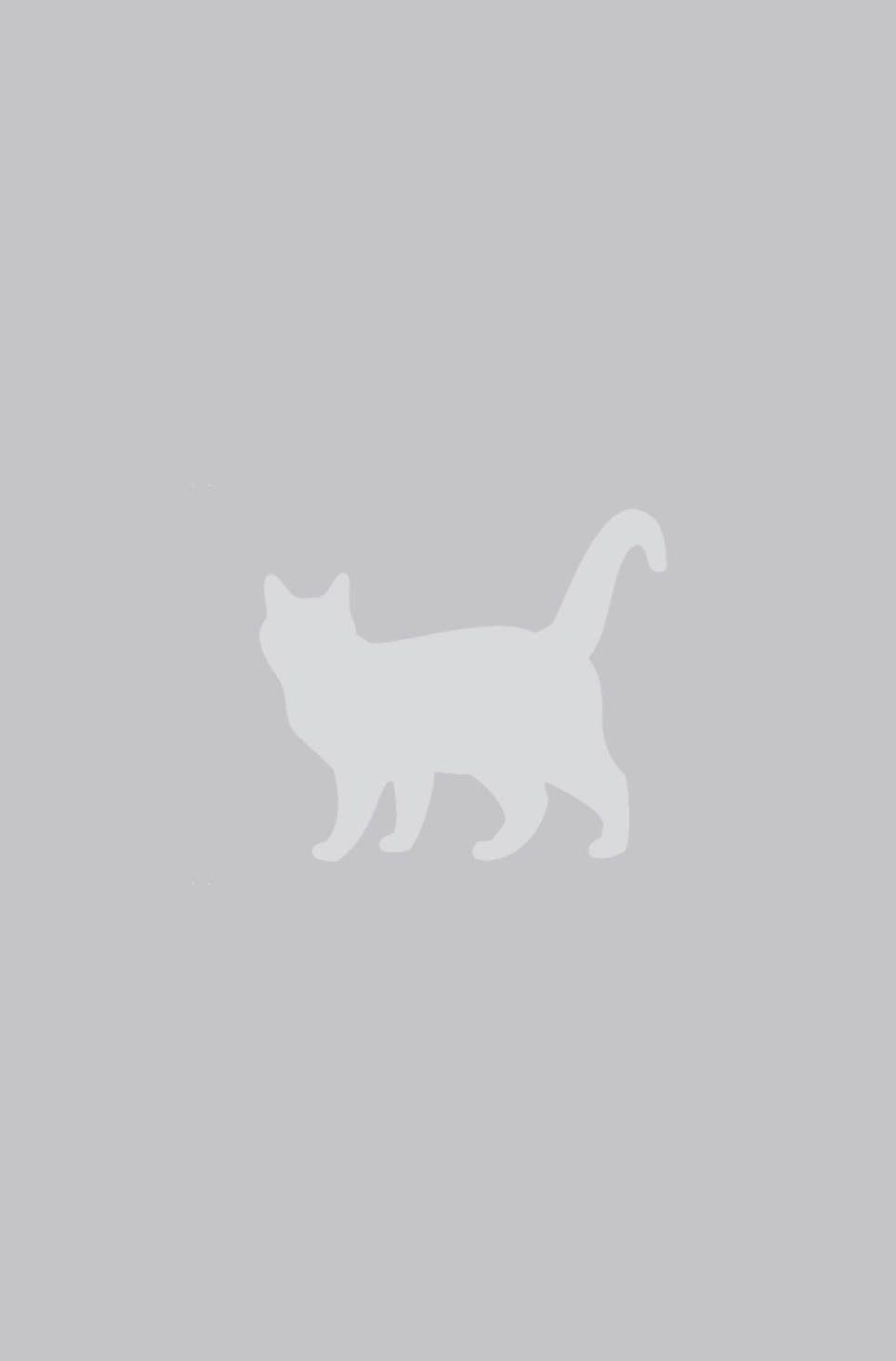 CH Gato Azul's Ethel Merman DM