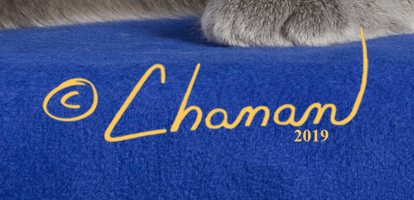 Chanan Photography signature