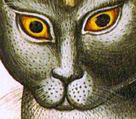 (closeup)